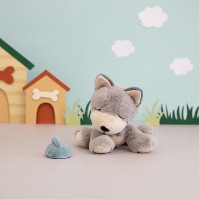 Dinkum Binky Puppy | Banjo
