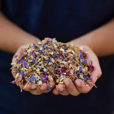 Gus and Mabel | Delightful Dried Flowers Small (assorted)