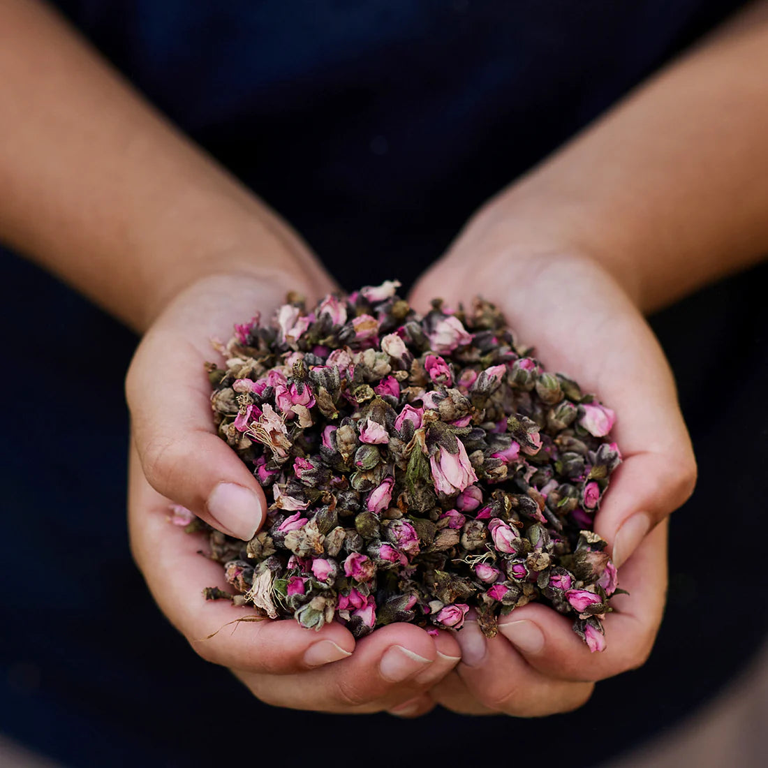 Gus and Mabel | Delightful Dried Flowers Small (assorted)