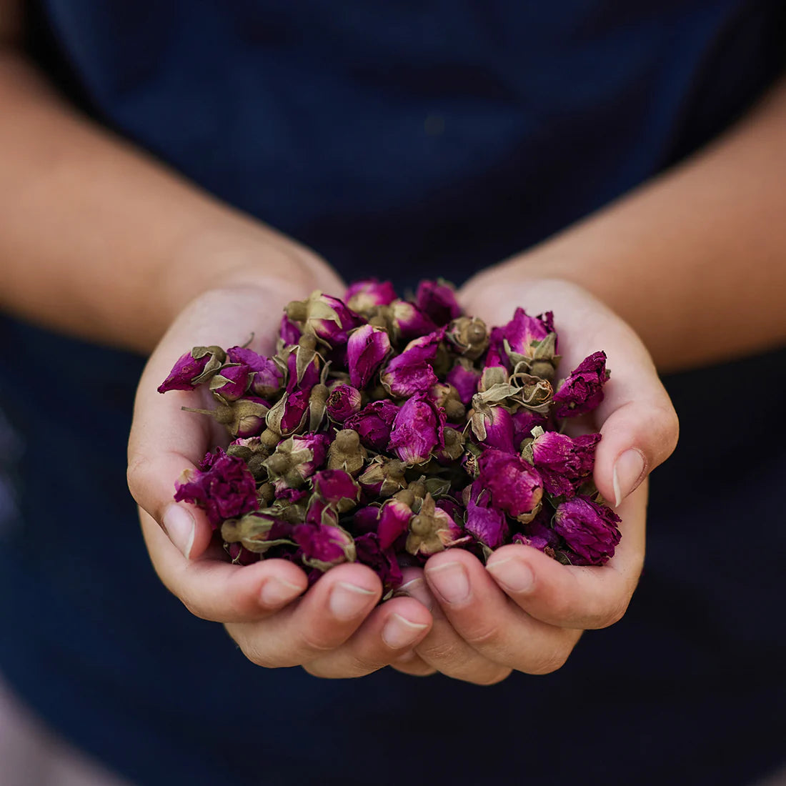 Gus and Mabel | Delightful Dried Flowers Small (assorted)