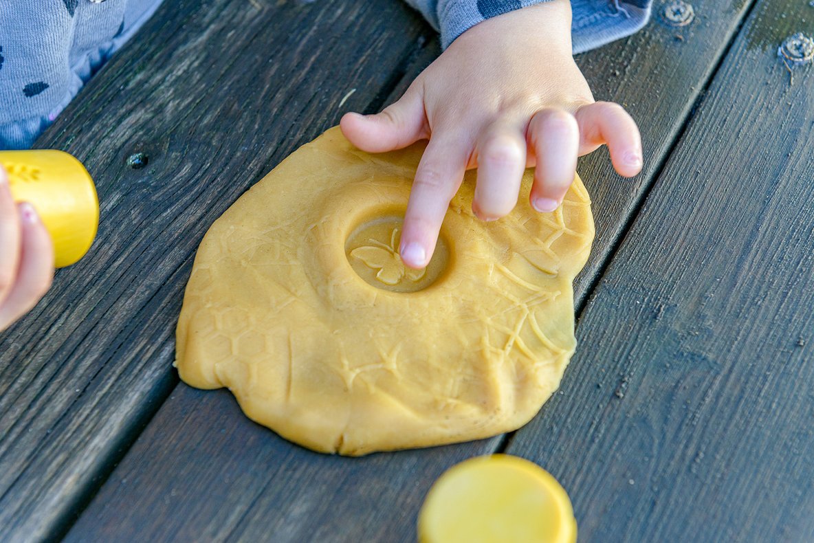 Let’s Roll - Garden Bugs (set of 6)