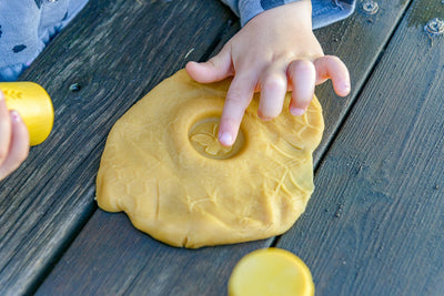 Let’s Roll - Garden Bugs (set of 6)