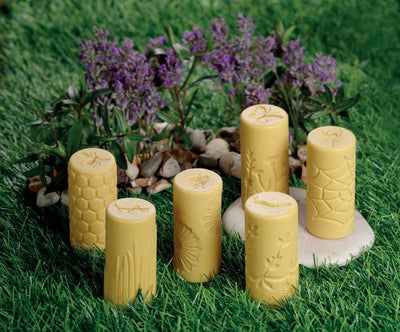Let’s Roll - Garden Bugs (set of 6)