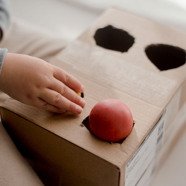 Wooden Balls Set of 6 (48mm)