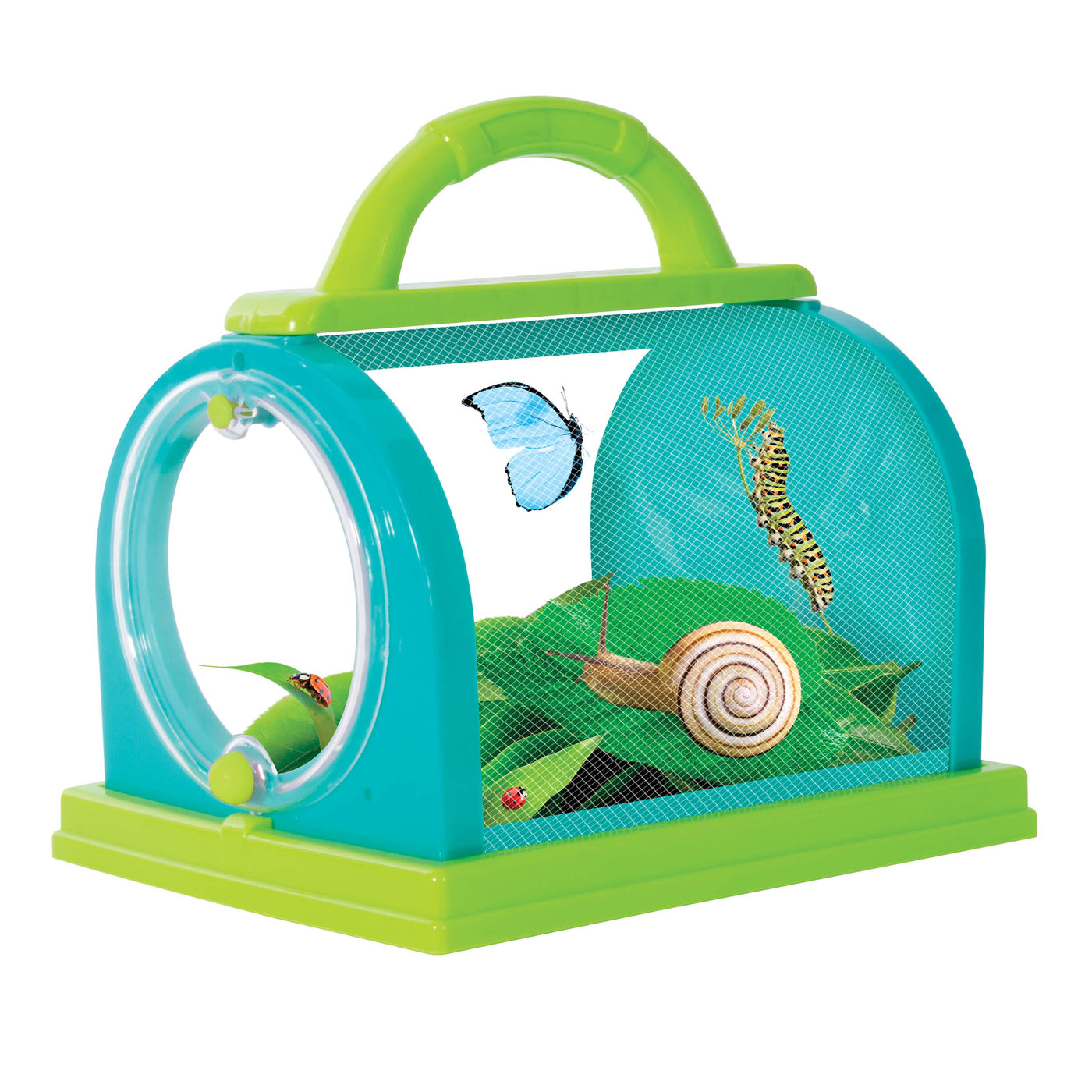 Discovery Zone Bug Study Set (Green)