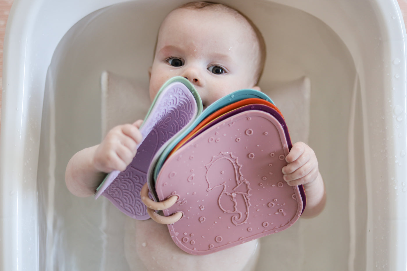 Bath Book - Sea Animals