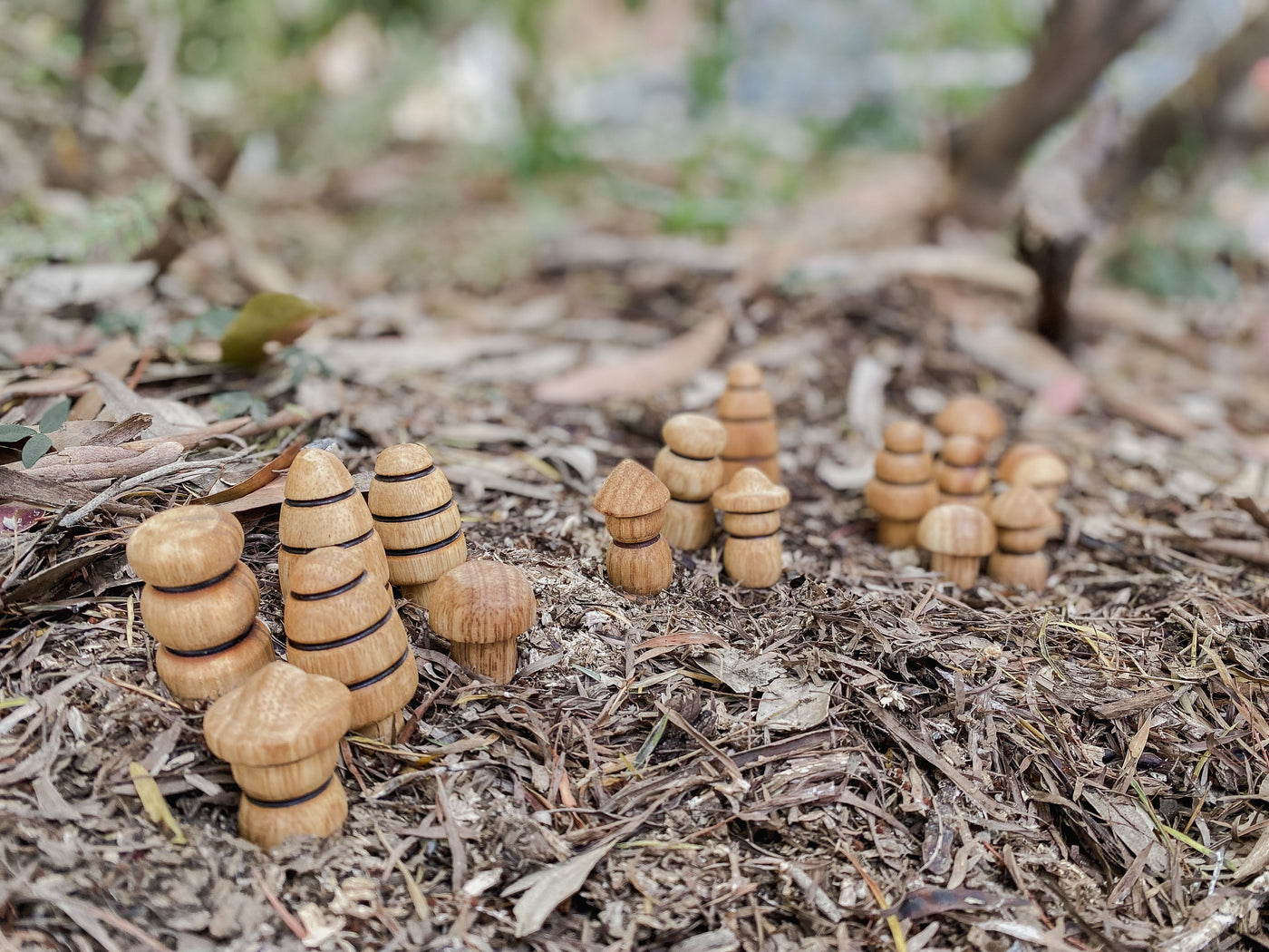 Small World Diverse Wooden Figurine Set