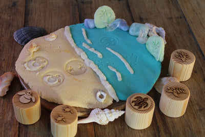 Turtle Lifecycle Playdough Stamps