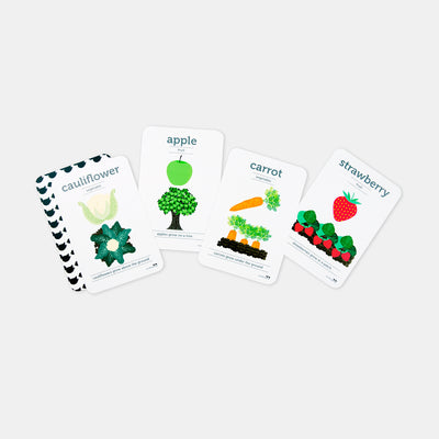 Fruit and Vegetable Flash Cards